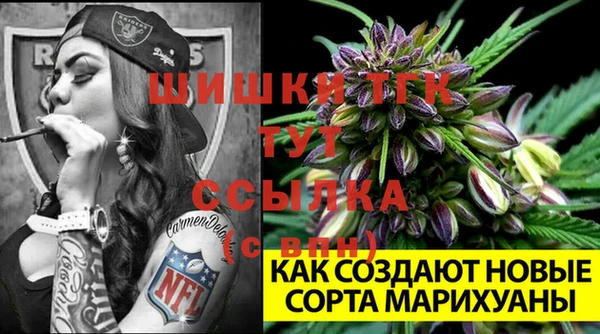 МДПВ Арсеньев