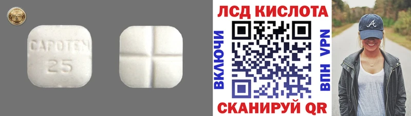 Лсд 25 экстази ecstasy кракен tor Фокино