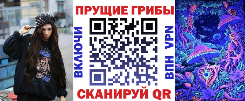 Псилоцибиновые грибы MAGIC MUSHROOMS  блэк спрут ссылка  Фокино  купить  
